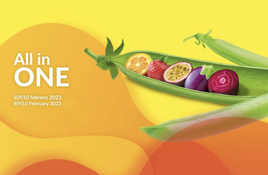 L'AUTOMATISATION EFFICACE APPORTÉE PAR ULMA PACKAGING POUR L'EMBALLAGE DURABLE DES FRUITS ET LÉGUMES AU SALON FRUIT LOGISTICA 2023
